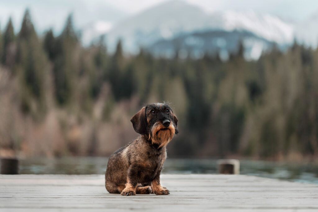 Fotoshooting Outdoor | Abby | ⓒ Lea Styger Photography